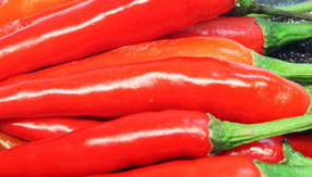 网页攻击器教程