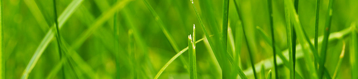 ddos攻击ip软件下载