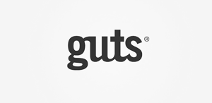 自动攻击网站工具下载